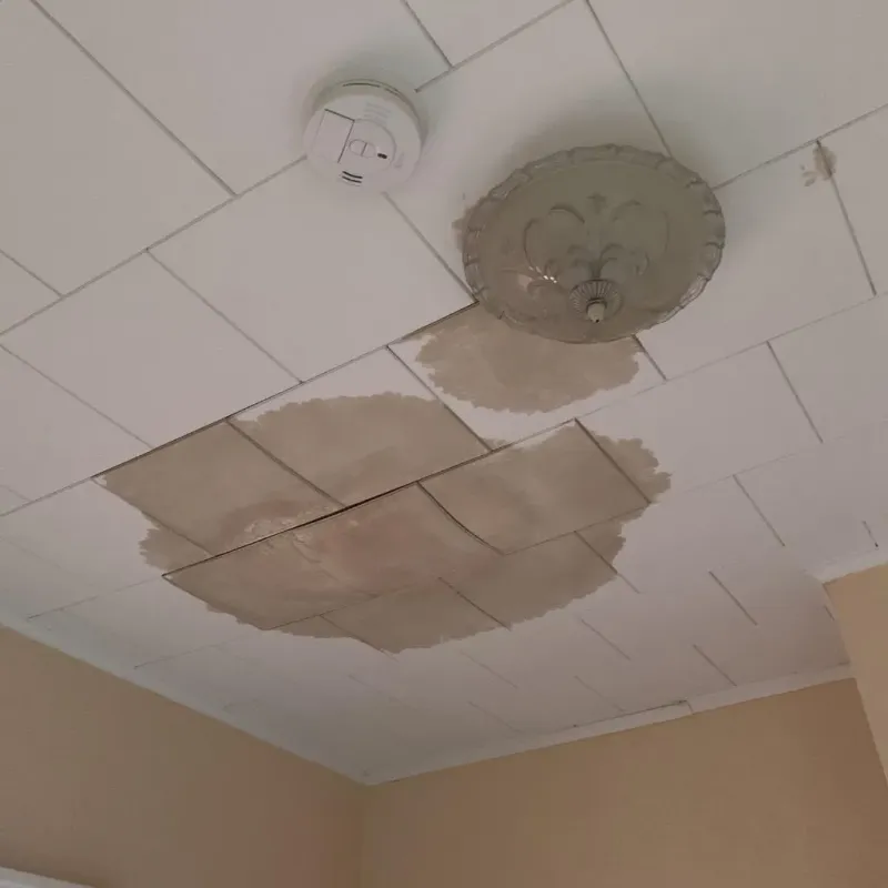 Ceiling Water Damage Repair in Daniels County, MT
