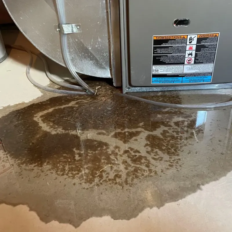 Pipe Burst and Leak Restoration in Daniels County, MT